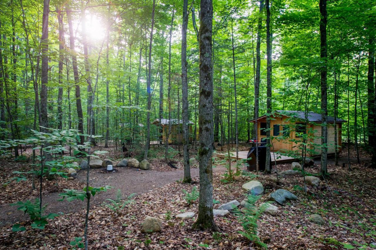 Madawaska Lodge-Cottage Exterior photo