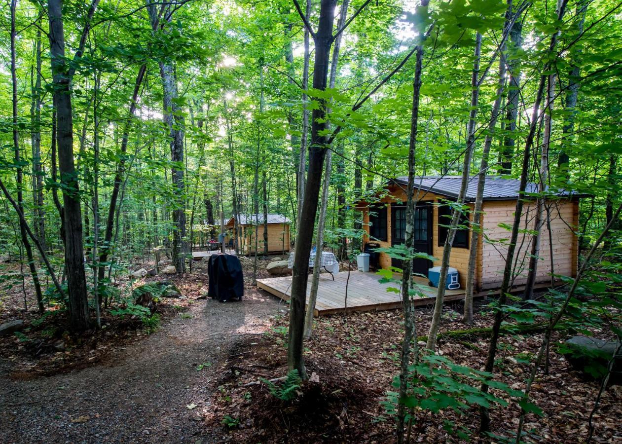 Madawaska Lodge-Cottage Exterior photo